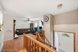 Photo 5